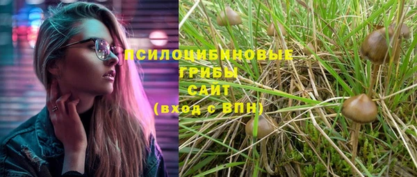 прущие крисы Лабытнанги