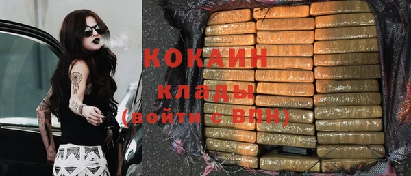 дмт Лагань