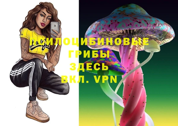 дмт Лагань