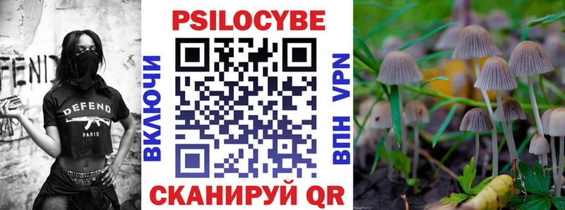 Галлюциногенные грибы GOLDEN TEACHER  Купить  Суворов 